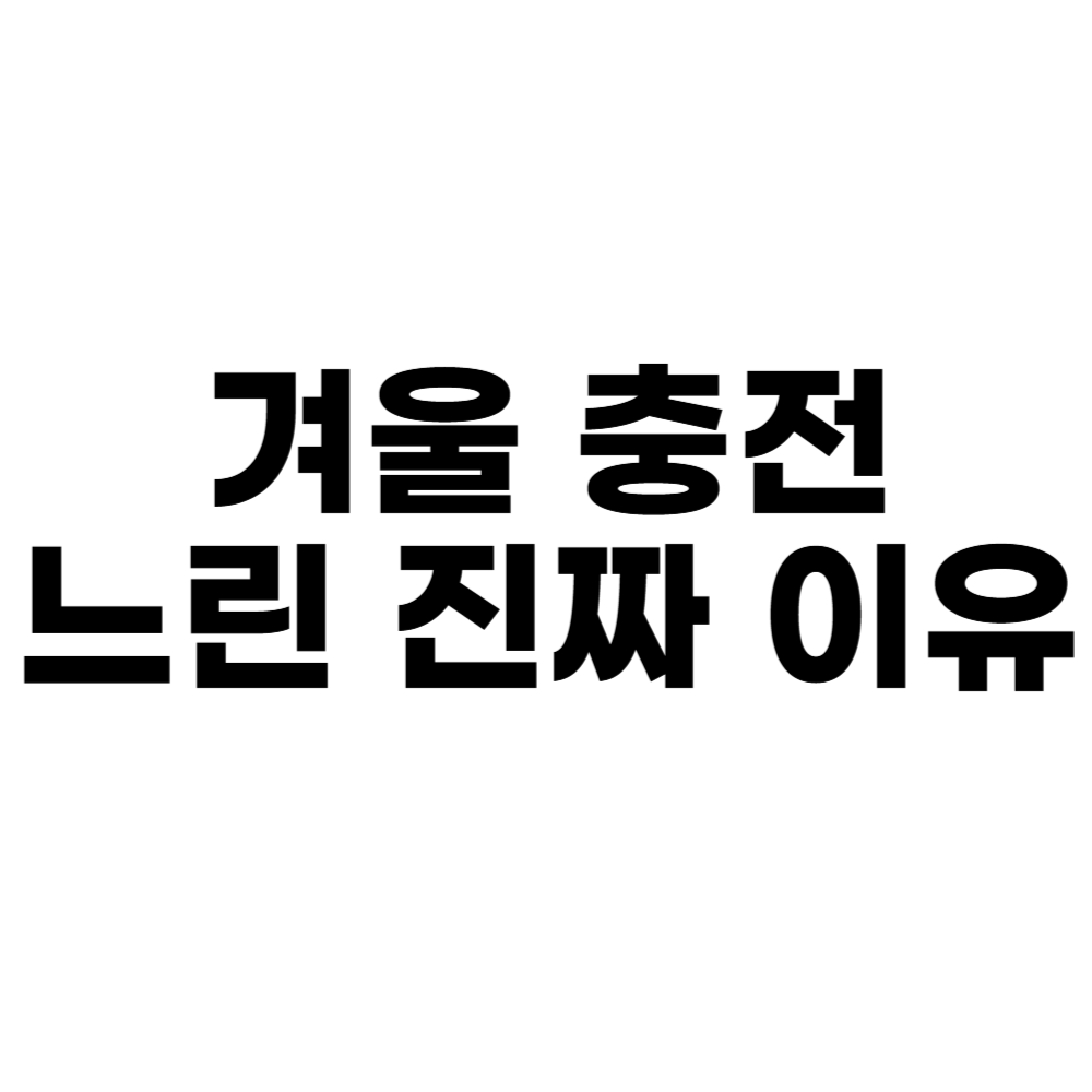 겨울 충전 느린 진짜 이유